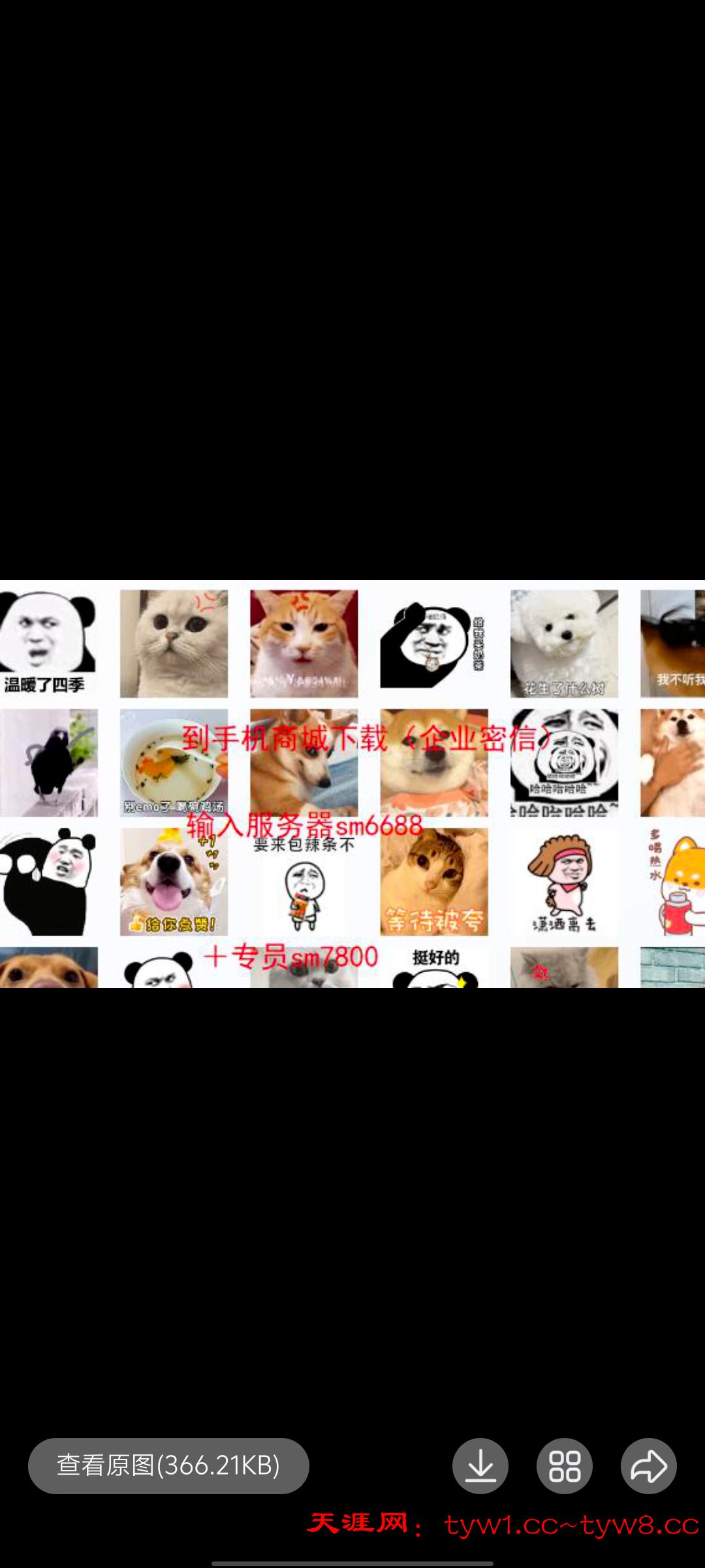 Screenshot_20250703_201034.jpg